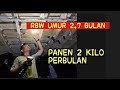 RBW TINGGI PERLANTAI 170CM TAPI KWALITAS SARANG MANTAP👍