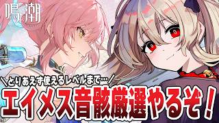 鳴潮( エイメス ) 鳴潮 】㊗Ver.3.1 🌟エイメスを使いたい！音骸厳選するぞ！！！ 203