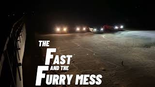 The Fast And The Furry Mess