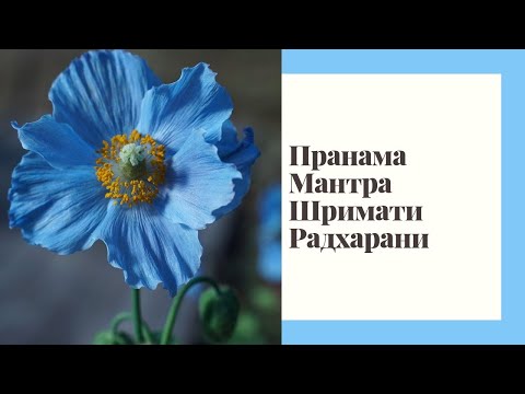 Пранама Мантра Шримати Радхарани