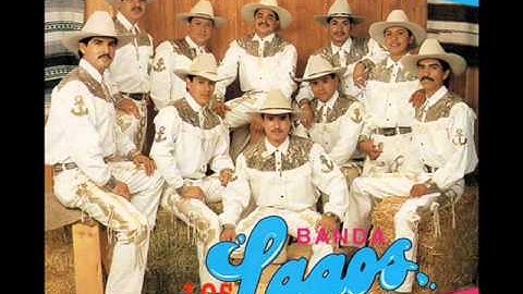 Banda Los Lagos - No Tienes Verguenza (D.A.R.)