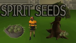 OSRS - Spirit seeds GUIDE