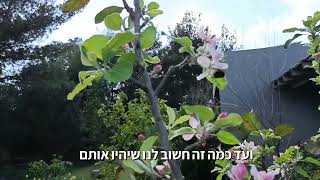 נס הבריאה איך בטבע הכל עובד מדהים