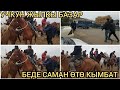 БЕДЕ САМАН  ПРЕСС ЖЫЛКЫ ТАЙ БЭЭЭ УЧКУН МАЛ БАЗАРЫ