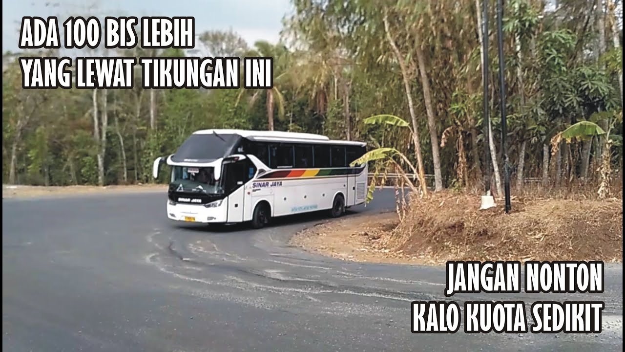 [Bismania] Hunting BUS AKAP Paling Komplit, Semua Bus Ada Disini!! Tikungan Timez