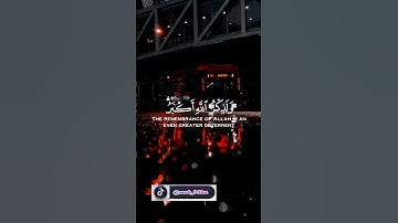 إن الصلاة تنهى عن الفحشاء والمنكر #قرآن #قران_كريم #قرآن_كريم_راحة_نفسية #حالاتواتس #تلاوة_خاشعة