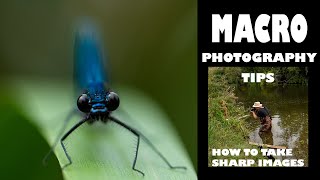MACRO PHOTOGRAPHY-HOW TO TAKE SHARP IMAGES