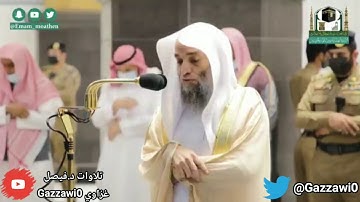 مقتطف مرئي | ما تيسر من سورة الفتح - د.فيصل غزاوي.