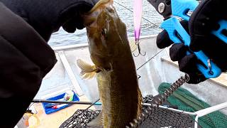 Expedition Canada: The Jerkbait