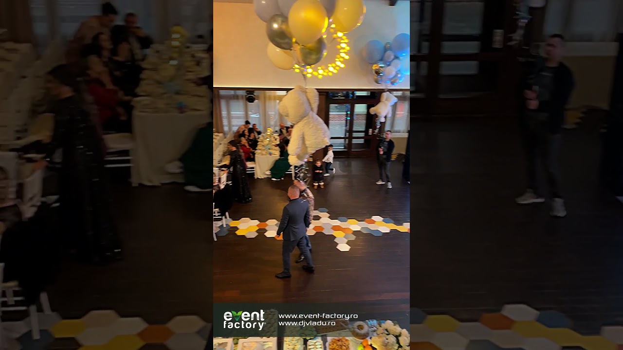 Pachet Silver + Ecran LED | Event Factory | Dj Vladu | Dj Nunta Valcea | Wedding DJ | Sonorizare Dj