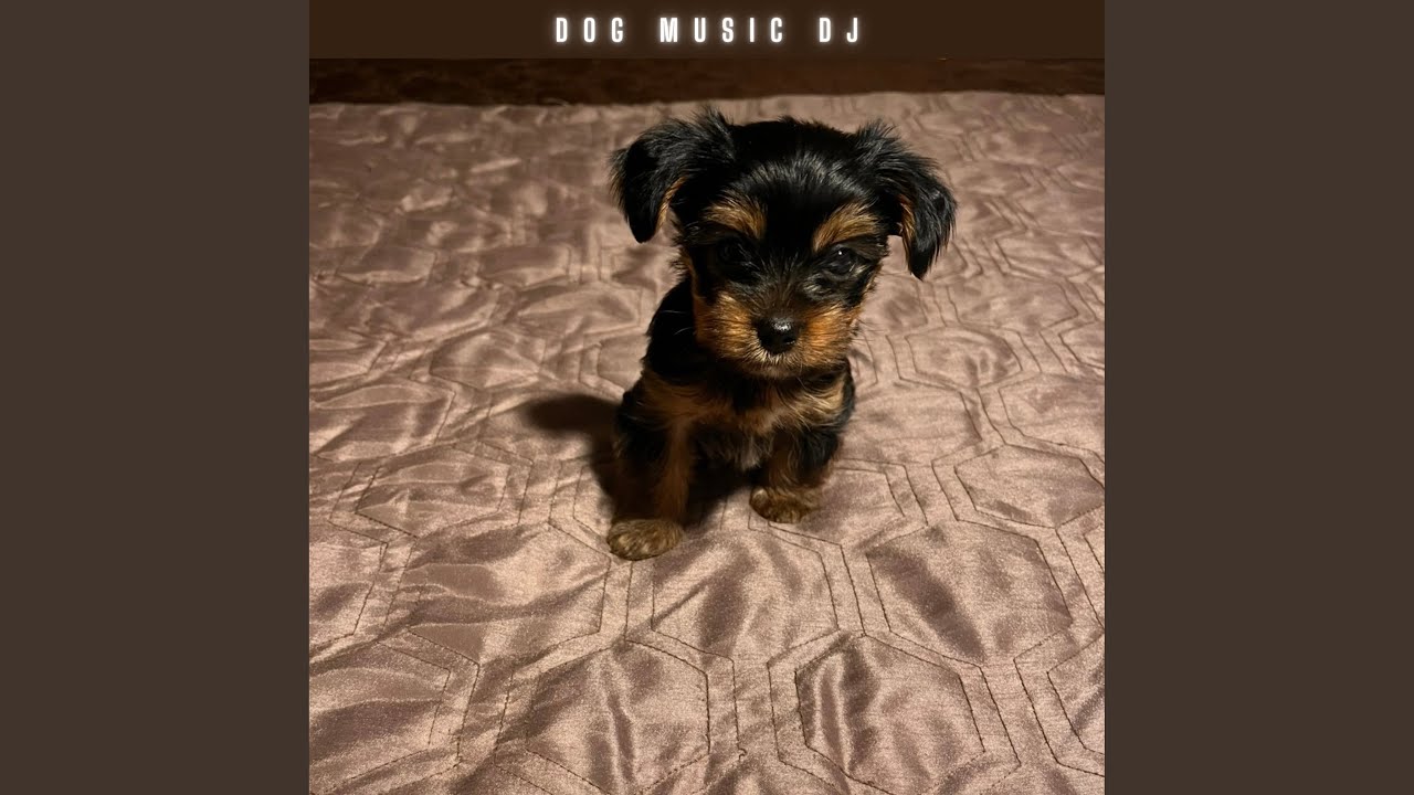 Zen Music for Dogs