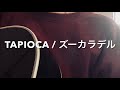 TAPIOCA / ズーカラデル cover 【弾き語り】