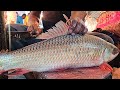 #AmazingCutting Skills | Big Rohu Fish Cleaning & Chopping Live In Fish Market