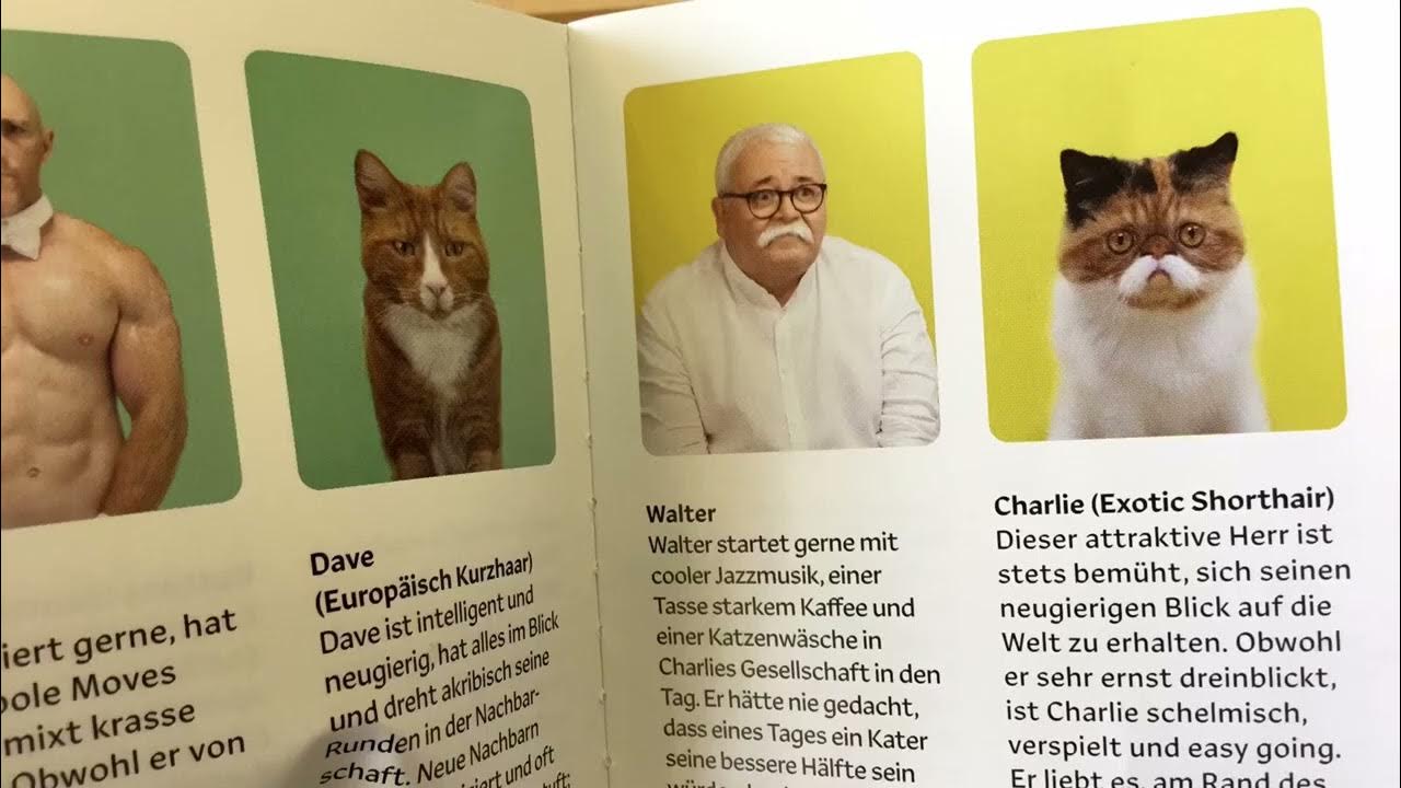 Siehst du aus wie deine Katze YouTube