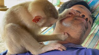 Monkey Zueii Really Love Grooming Uncle Beard while He Sleeping in Hammock