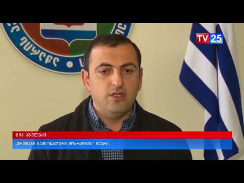 აჭარის ფინანსთა და ეკონომიკის მინისტრს საკანონმდებლო ორგანოში იბარებენ