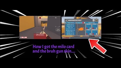 Using the Milo Calling Card and BRUH weopen skin in arsenal!