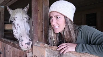 Horse girl’s FALL Expectations vs. Reality 😂 | funny horse videos 🐴