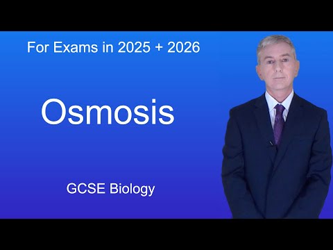 Video: Hvad er osmose GCSE?