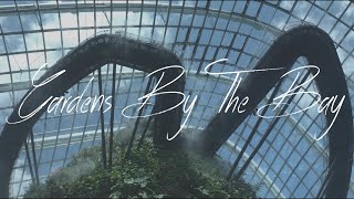 Anamorphic Lens Cinematic: Singapore (Gardens by the Bay) screenshot 4