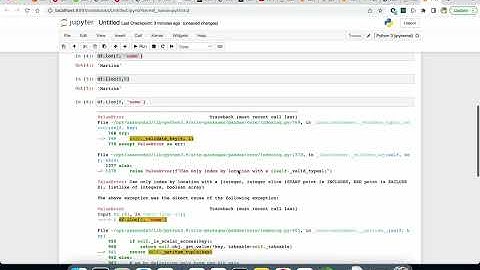 Update value to a specific cell in pandas.