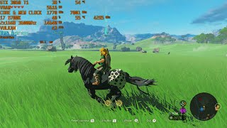Zelda TotK (Reshade/60fps Mod/DynamicFPS Mod) - Yuzu 1430 - RTX 3060 Ti | i7 8700k [1080p]