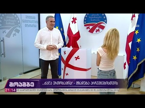 „ძალა ერთობაშია“ - მზადება არჩევნებისთვის