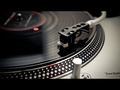 Taj Mahal | Catfish Blues