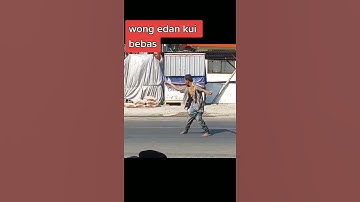 wong edan kui bebas