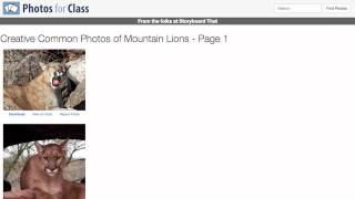 EdTech Tuesday: Photos for Class