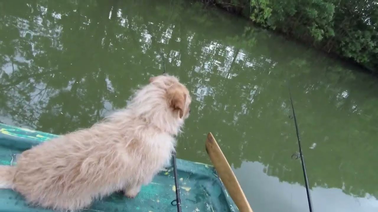 Süllőztem úszóval ,a part előtt