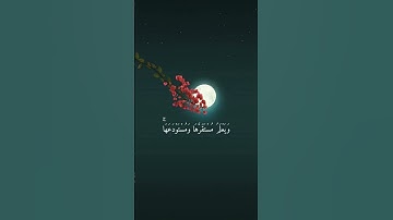 تلاوة من سورة هود. #quran #القرآن_الكريم #تلاوة #تلاوة_خاشعة #اكسبلور