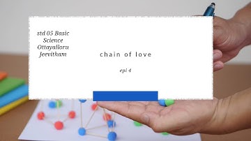 First bell 3.0 std 05 Basic Science Ottayalloru Jeevitham | The Chain Of Love epi 4