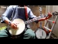 Aria banjo new neck review