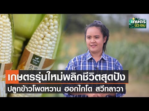 เกษตรรุ่นใหม่พลิกชีวิตสุดปัง ปลูกข้าวโพดหวาน ฮอกไกโด สวีทลาวา | เกษตรนิวเจน