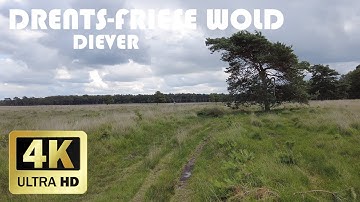 Drents-Friese Wold, Diever || Summer 2023 || 4K