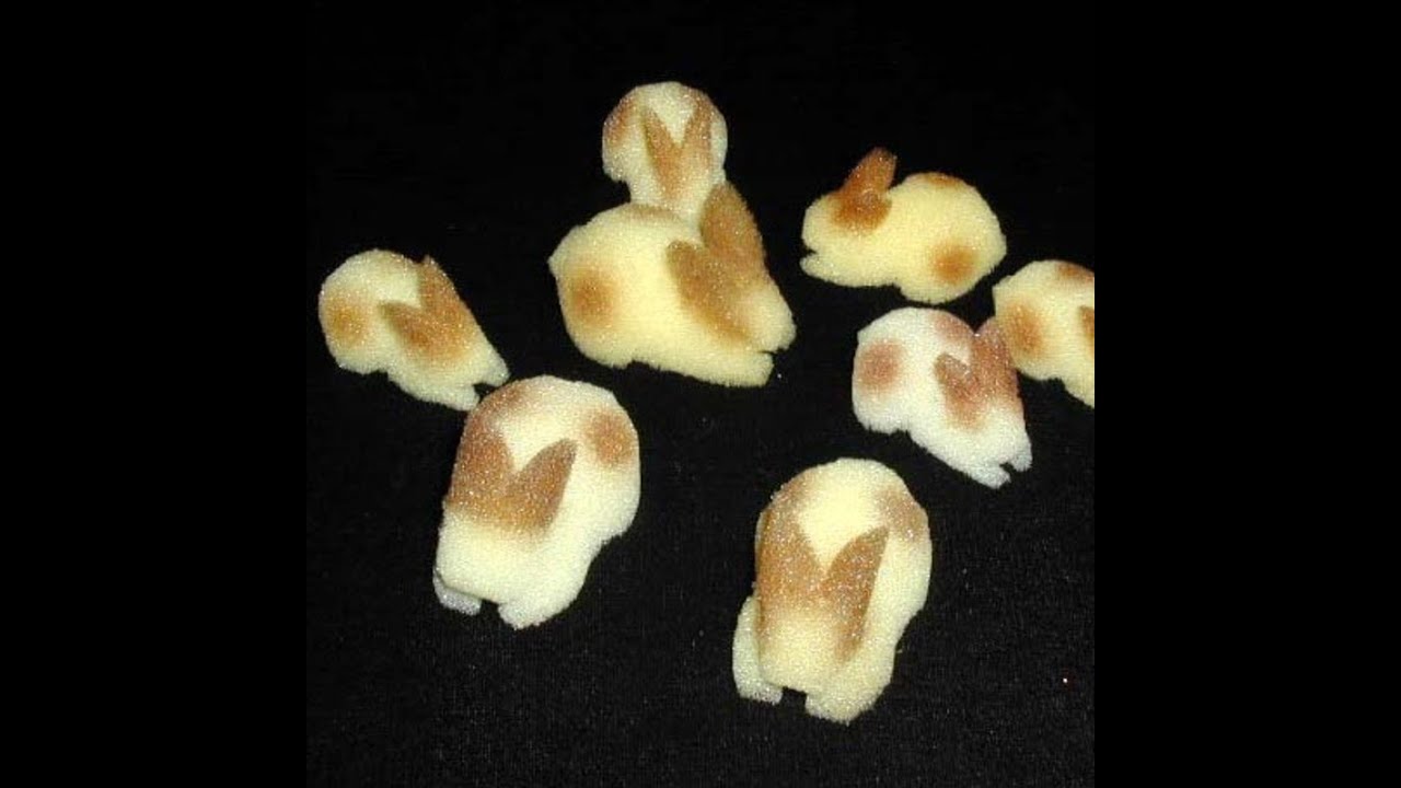 Губка Магия