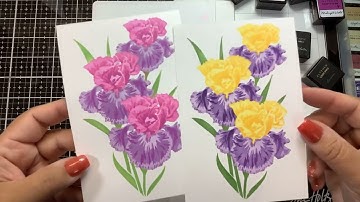 The Ton Stamps- Layering Iris stencils