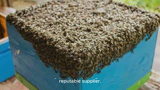 bee keeping basics for beginners #bee #apiary #beefarm #honey #beekeeping #beefarming #honey
