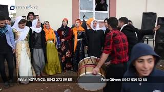 Şevko 2019 yeni kavallarla