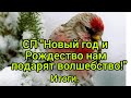 Вязание. СП "НОВЫЙ ГОД И РОЖДЕСТВО НАМ ПОДАРЯТ ВОЛШЕБСТВО!" // Подведение итогов.  15 января 2021 г.