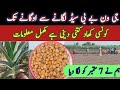 G 1 baby seed sowing to till harvesting  advance farming t v  bagh ali  g 1 lahson  narc g 1