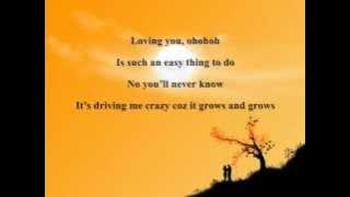 LOVING YOU BY NINA LYRICS