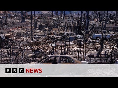 US President Biden to visit fire-hit Maui on Monday – BBC News