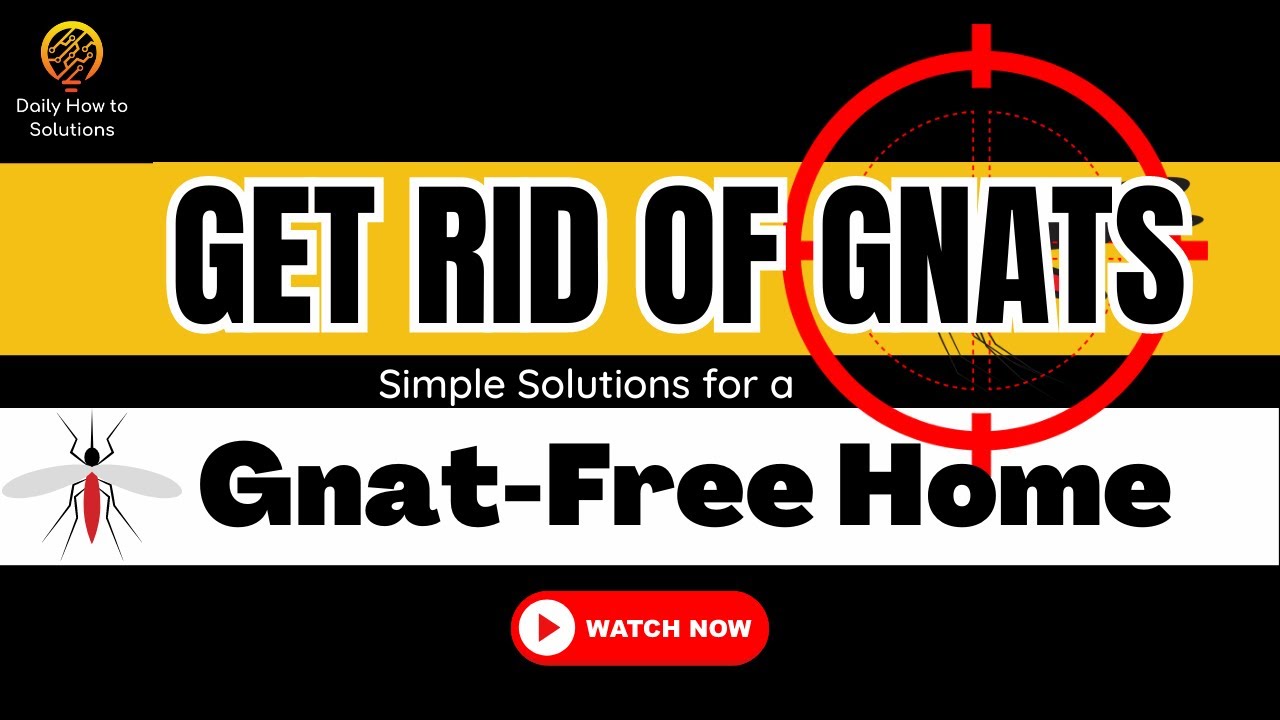 Gnats Be Gone: The Ultimate Guide to Getting Rid of Gnats in Your Home | 