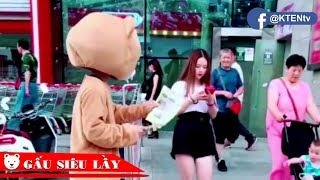 Gấu Lầy 😂 Gấu Lấy Bắt Gặp Gái Xinh Ôm Phát Lào Và Cái Kết | KTENtv ✔