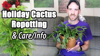 Holiday Cactus Repot & Care/Info