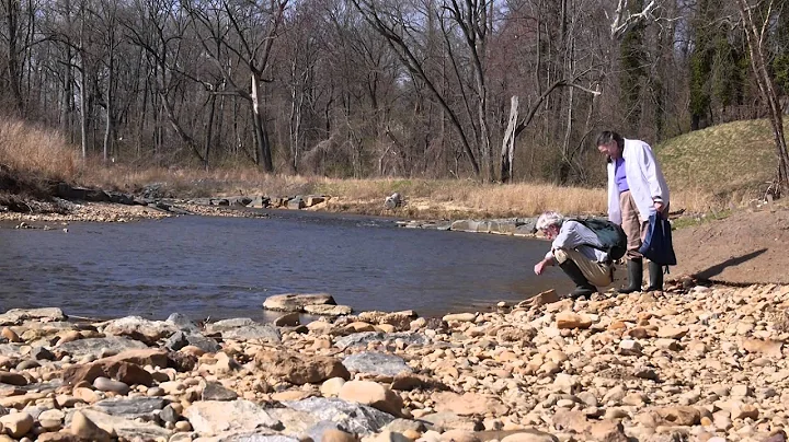 Citizen Paleontologist: A Day with Ray Stanford