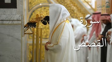 سورة القصص | المصحف الصوتي والمرئي من صلاتي التراويح والتهجد بالمسجد النبوي لعام 1446هـ.