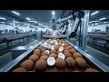 Inside a Modern Coconut Factory: The Massive Coconut Processing Line